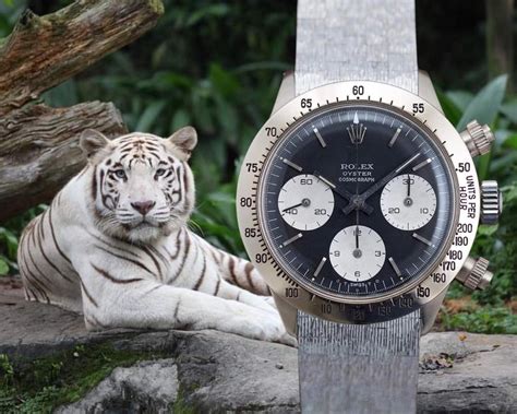 rolex unicorn price|Rolex daytona unicorn ref 6265.